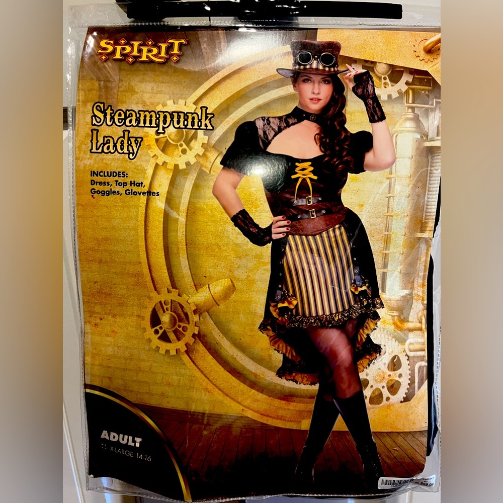 Steampunk Lady Halloween Costume